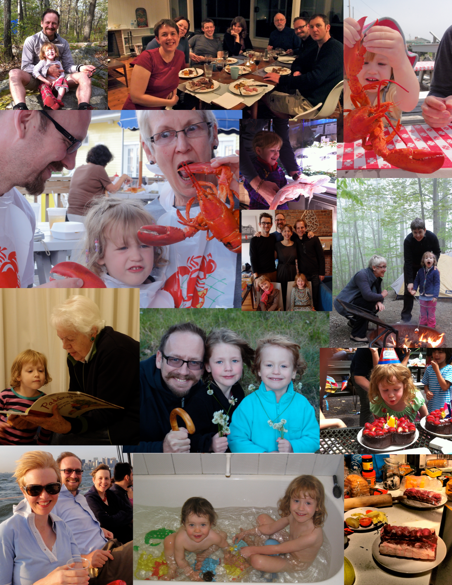 2012 cookbook family montage